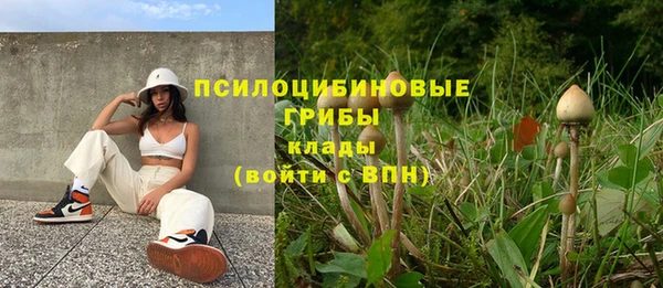 таблы Алзамай