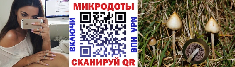 Псилоцибиновые грибы GOLDEN TEACHER  цены   Покров 